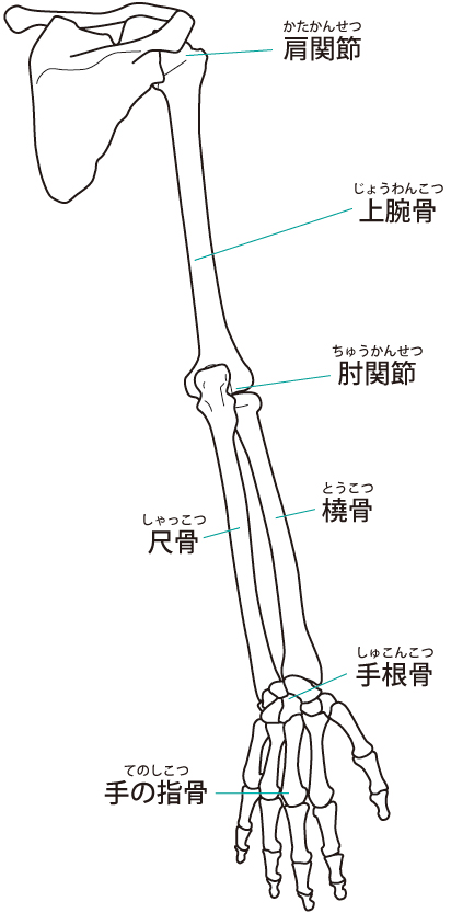 当院でのガングリオンのアプローチ